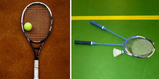 Tennis Racket and Badminton Racket