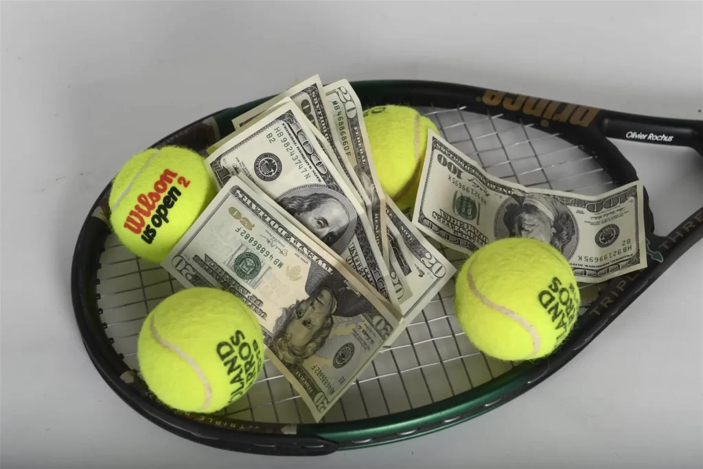 The income of professional tennis players